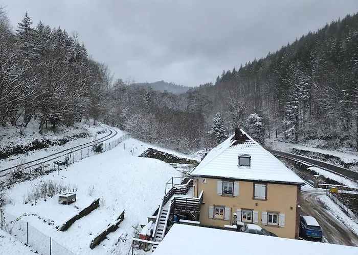 Evasion En Pleine Nature